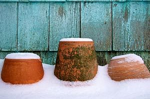 terracotta pots covered in white snow make an interesting winter photo