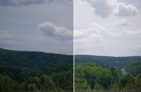 Sample photography with and without polarizer