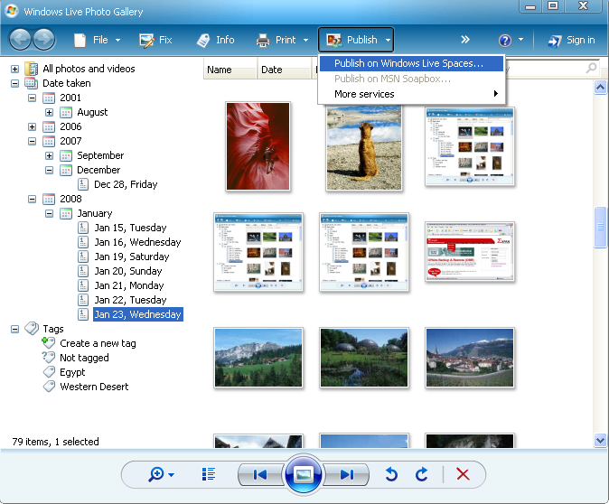 windows live photo gallery 2011 free download