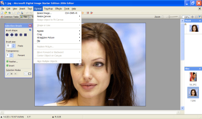 Microsoft Digital Image Starter Edition