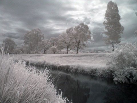 InfraRed Photography