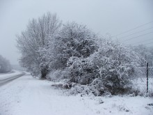 Snow photo