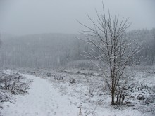 Snow photo